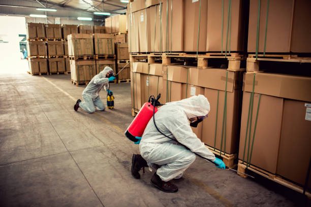 Best Mosquito Control Services  in Atlanta, TX