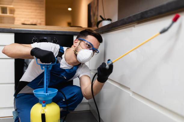 Best Best Pest Control Companies  in Atlanta, TX