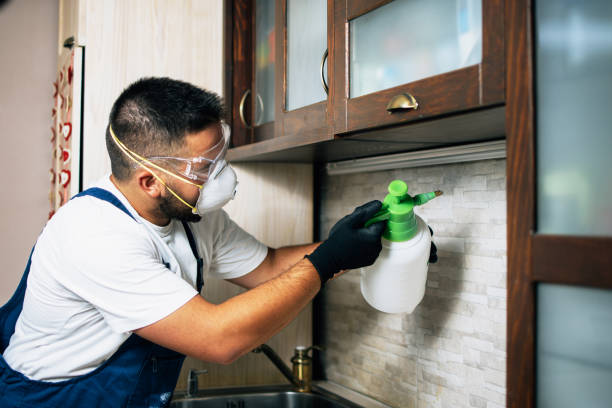 Best Best Pest Control Companies  in Atlanta, TX