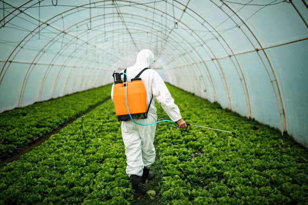 Best Affordable Pest Control Services  in Atlanta, TX