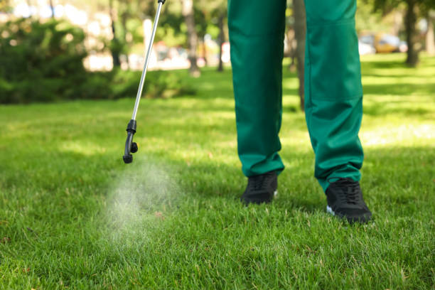 Best Pest Prevention Services  in Atlanta, TX