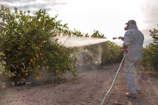 Best Best Pest Control Companies  in Atlanta, TX