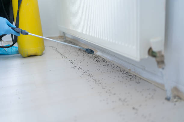 Professional Pest Control in Atlanta, TX